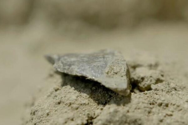 Archaeologists discover ancient tools dating back millions of years