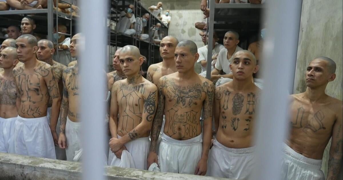 Inside El Salvador’s notorious CECOT mega-prison