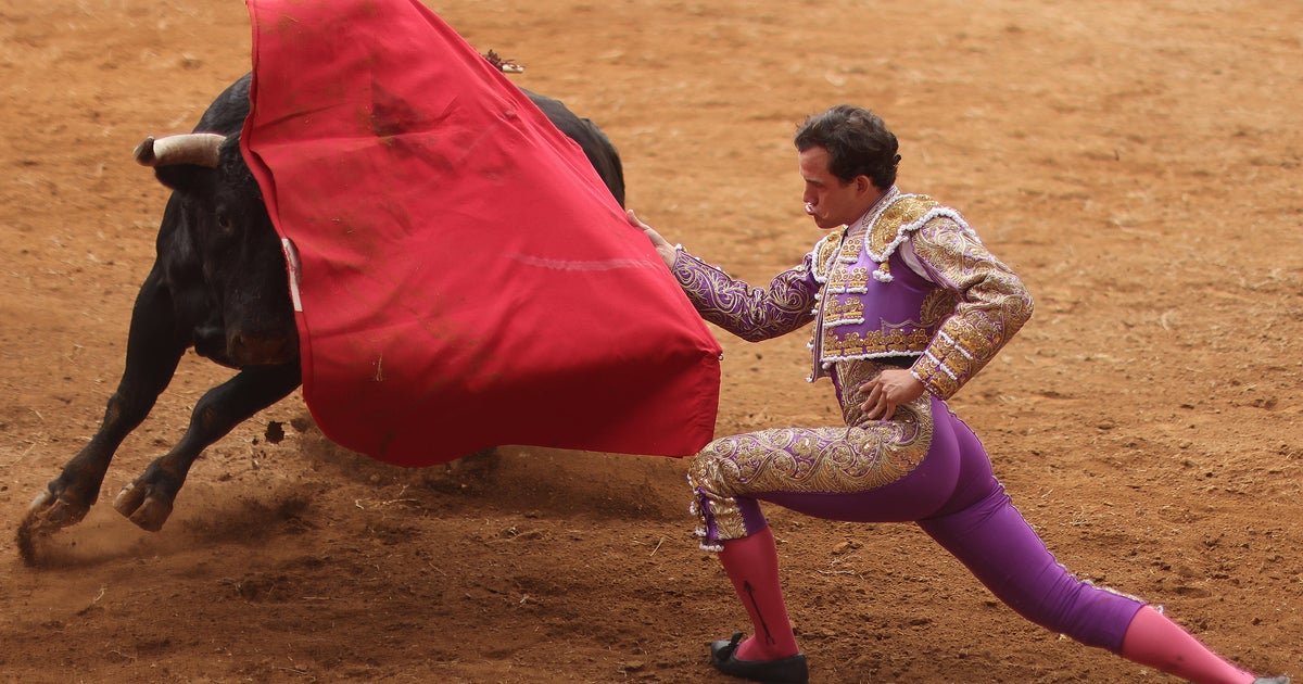 Mexico City bans violent bullfighting in bid to keep the tradition, but without the bloodshed