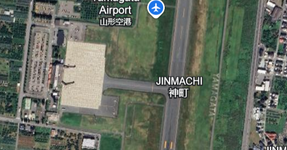Bear on runway forces airport in Japan to cancel flights: “We’re in a stalemate”