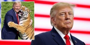 Donald Trump slammed by family of man mauled to death by tiger as they admit feeling 'severe distress'