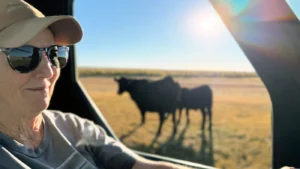 Drought, fire and high diesel prices ‘addin’ up tough’ for Oregon ranchers : NPR